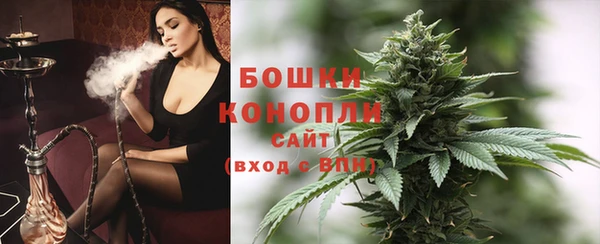 индика Вязьма