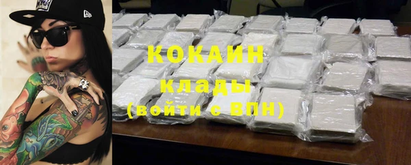 индика Вязьма