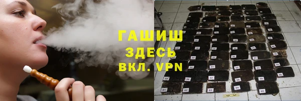 индика Вязьма