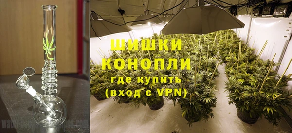 мдпв Верея