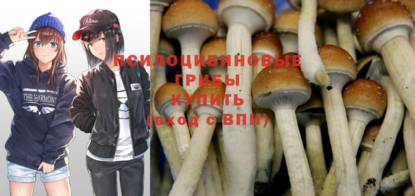 индика Вязьма